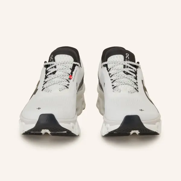 On Cloudmonster 2 White/Black