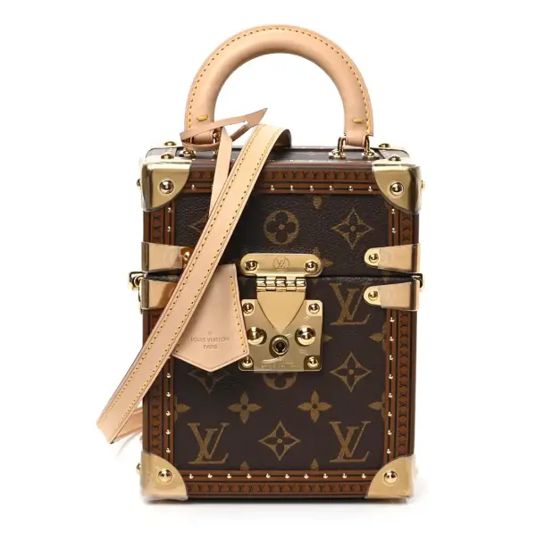 Louis Vuitton Camera Box Handbag