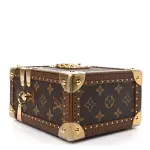 Louis Vuitton Camera Box Handbag