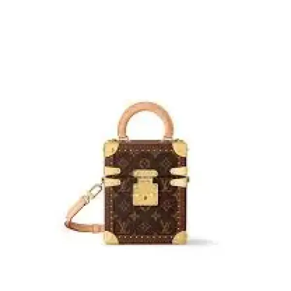 Louis Vuitton Camera Box Handbag