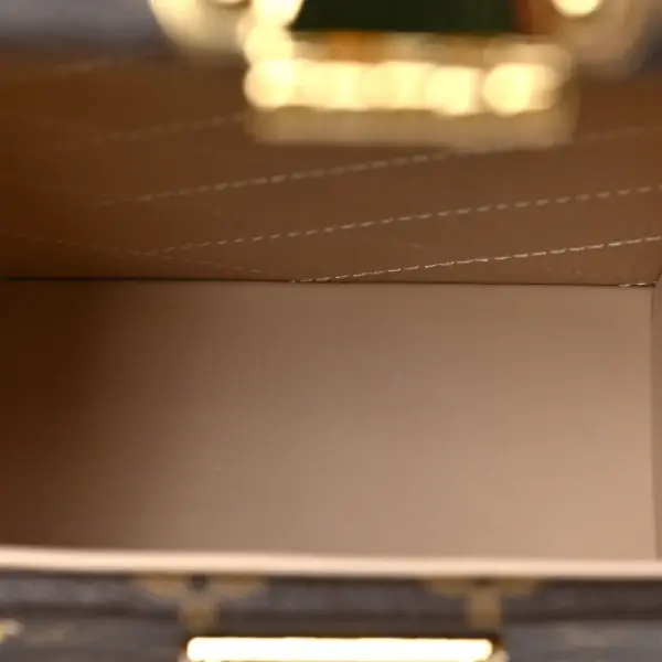 Louis Vuitton Camera Box Handbag