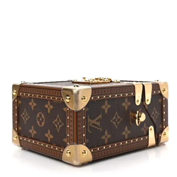 Louis Vuitton Camera Box Handbag